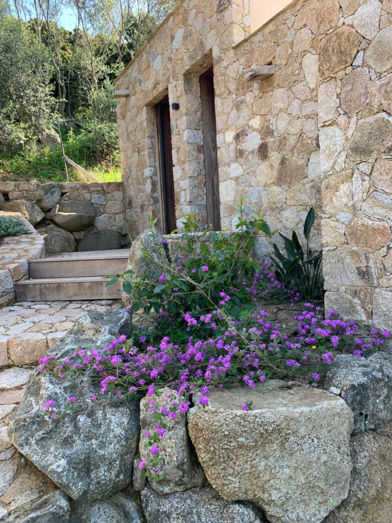 Villa Macagna Corbara Exterior photo